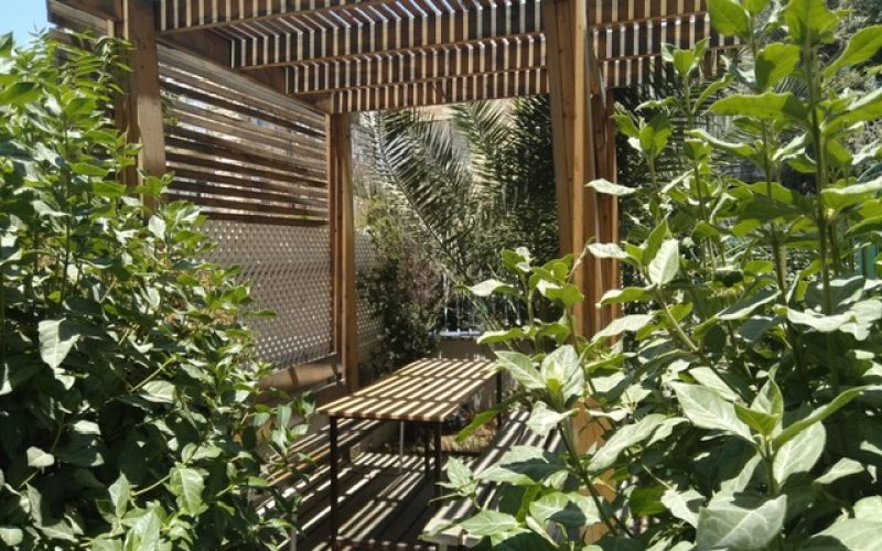 image7