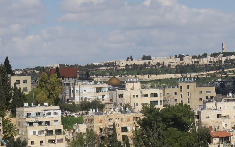 נוף-מהגג-להר-הבית-1