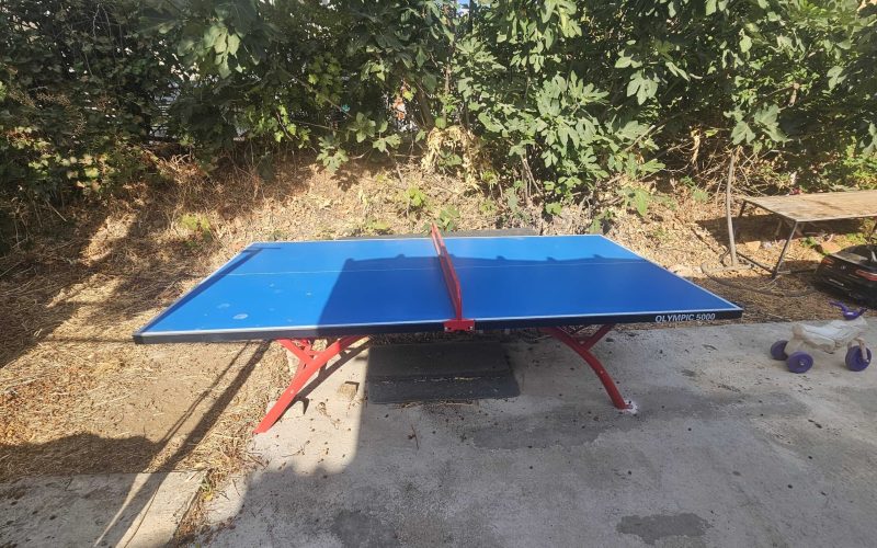 שולחן-פינג-פונג